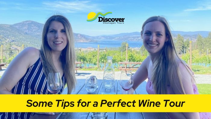 Tips for a perfect wine tour