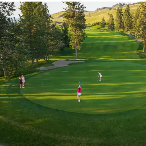 4 ladies on the green at Black Mountin Golf Club