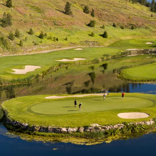 5th green at Black Mountain Golf Club