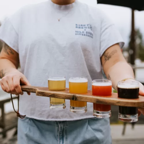 Flight of beer at Barn Owl Brewing